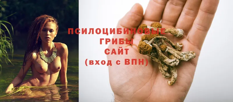 цены наркотик  Яровое  Галлюциногенные грибы MAGIC MUSHROOMS 